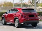 Lexus NX 300 2021